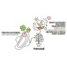 Прокладки Sleepy Ecologic Daily Normal 40 шт